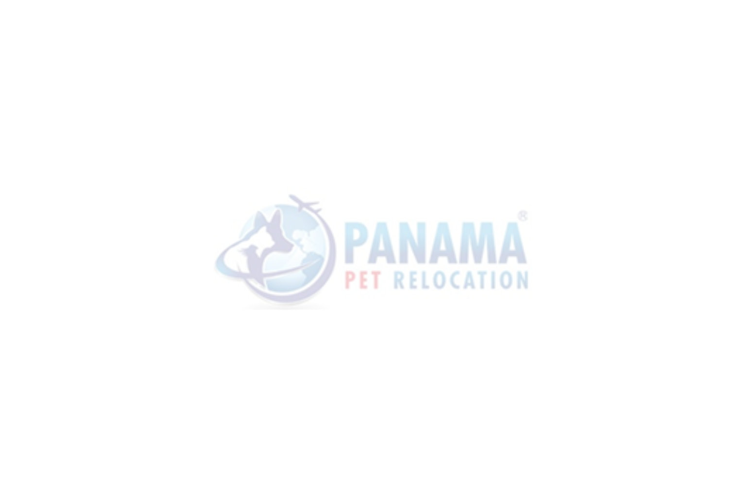 What Documents Are Needed for Pet Travel?