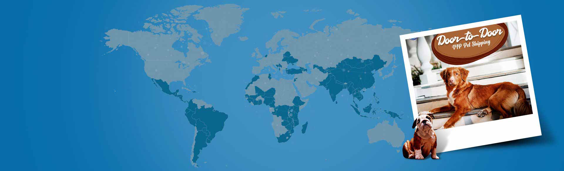 Pet Shipping services in panama