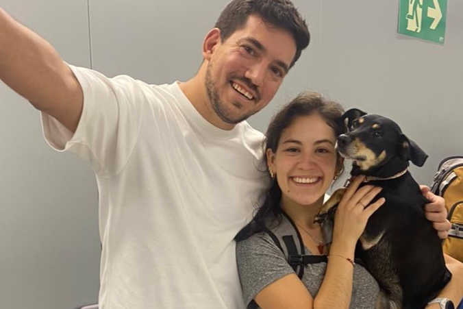Professional team handling pet transport to Panama