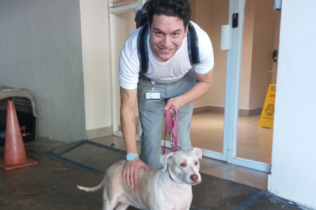 Happy pet successfully relocated to Panama