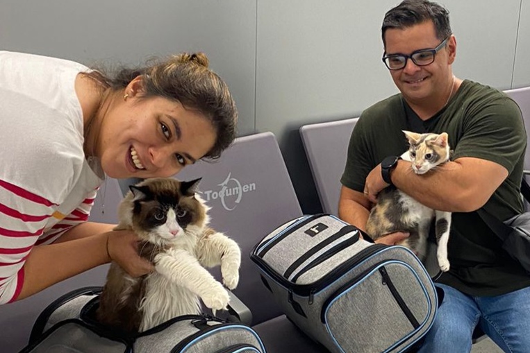 Pet enjoying post-relocation comfort in Panama