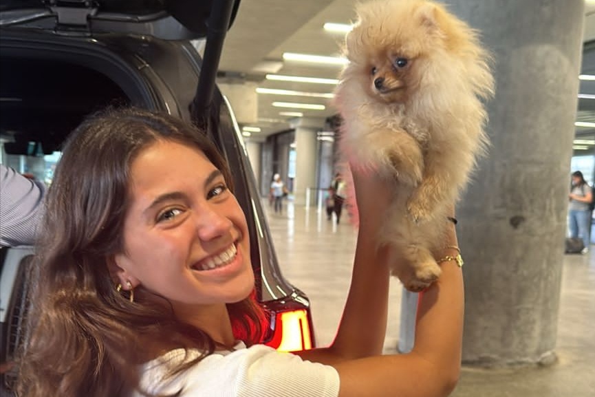 Smooth pet relocation journey to Panama