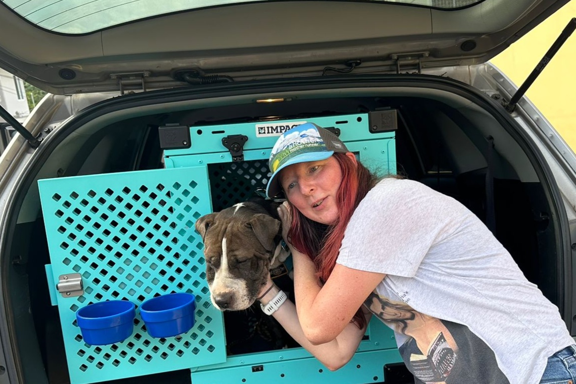 Pet safely settled after Panama relocation