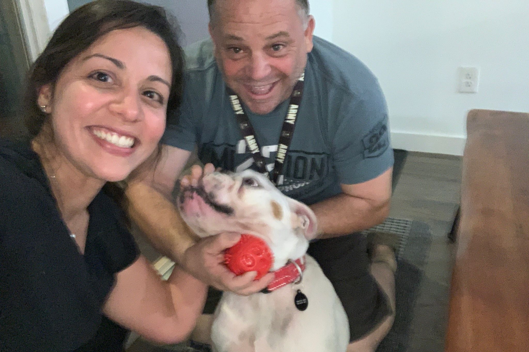 Trusted pet relocation service to Panama
