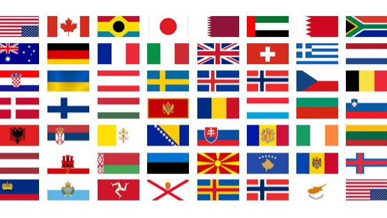 International pet relocation routes to Panama