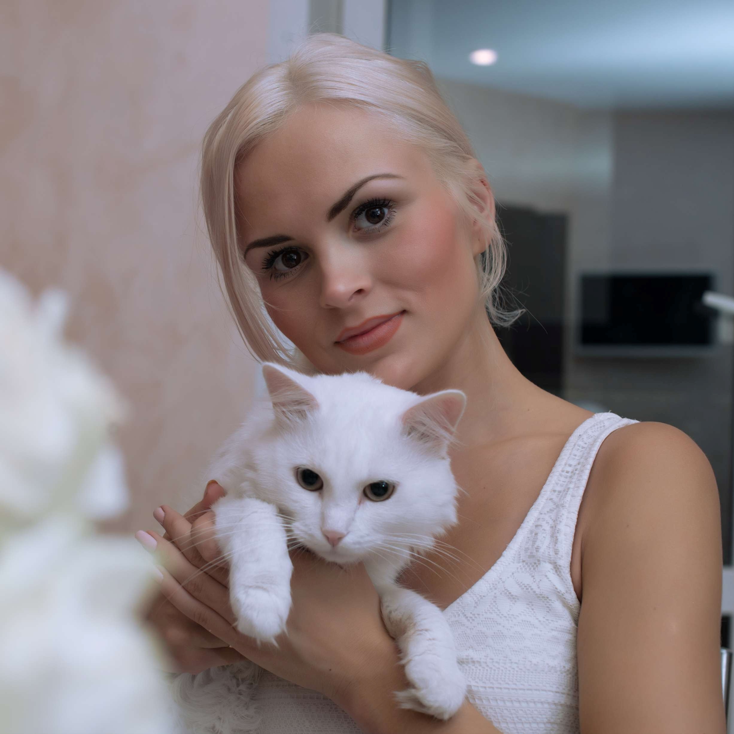 Bringing Cats To Panama