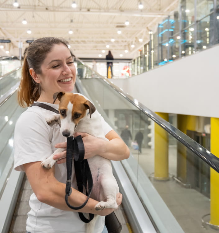 Premium Door-to-Door Pet Relocation Services