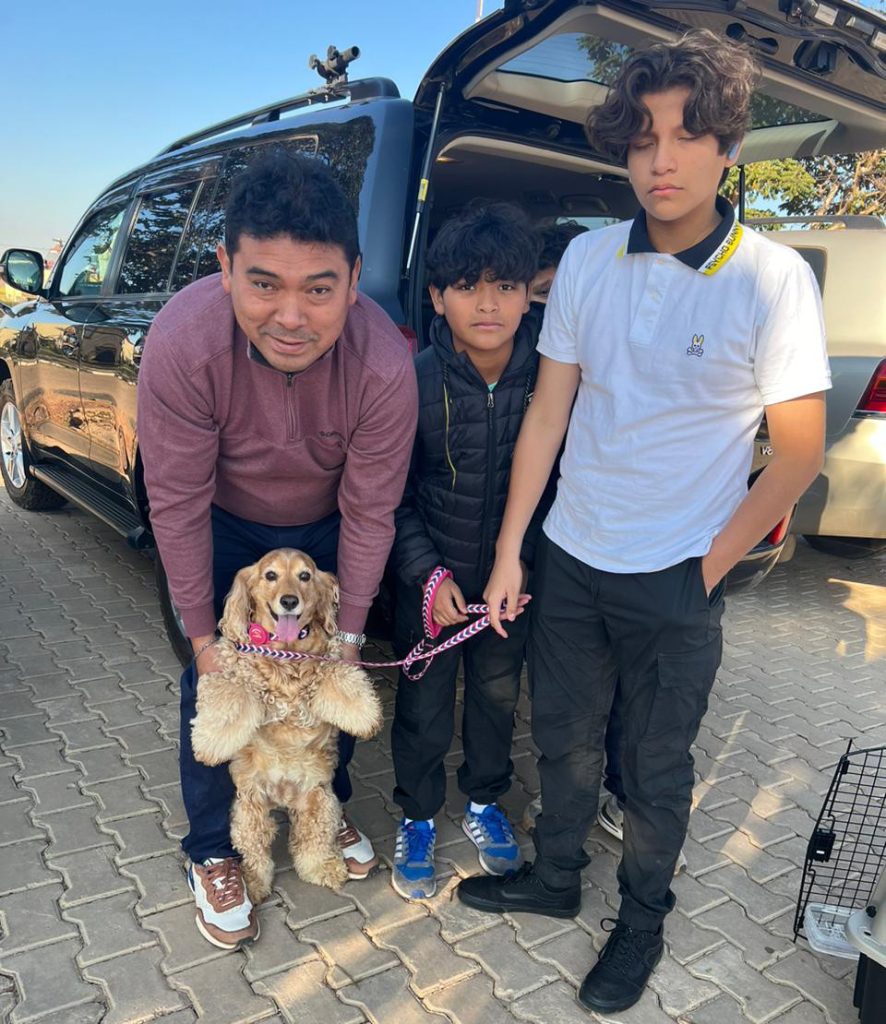 Lulu’s Journey: Pet Relocation from Panama to Zambia
