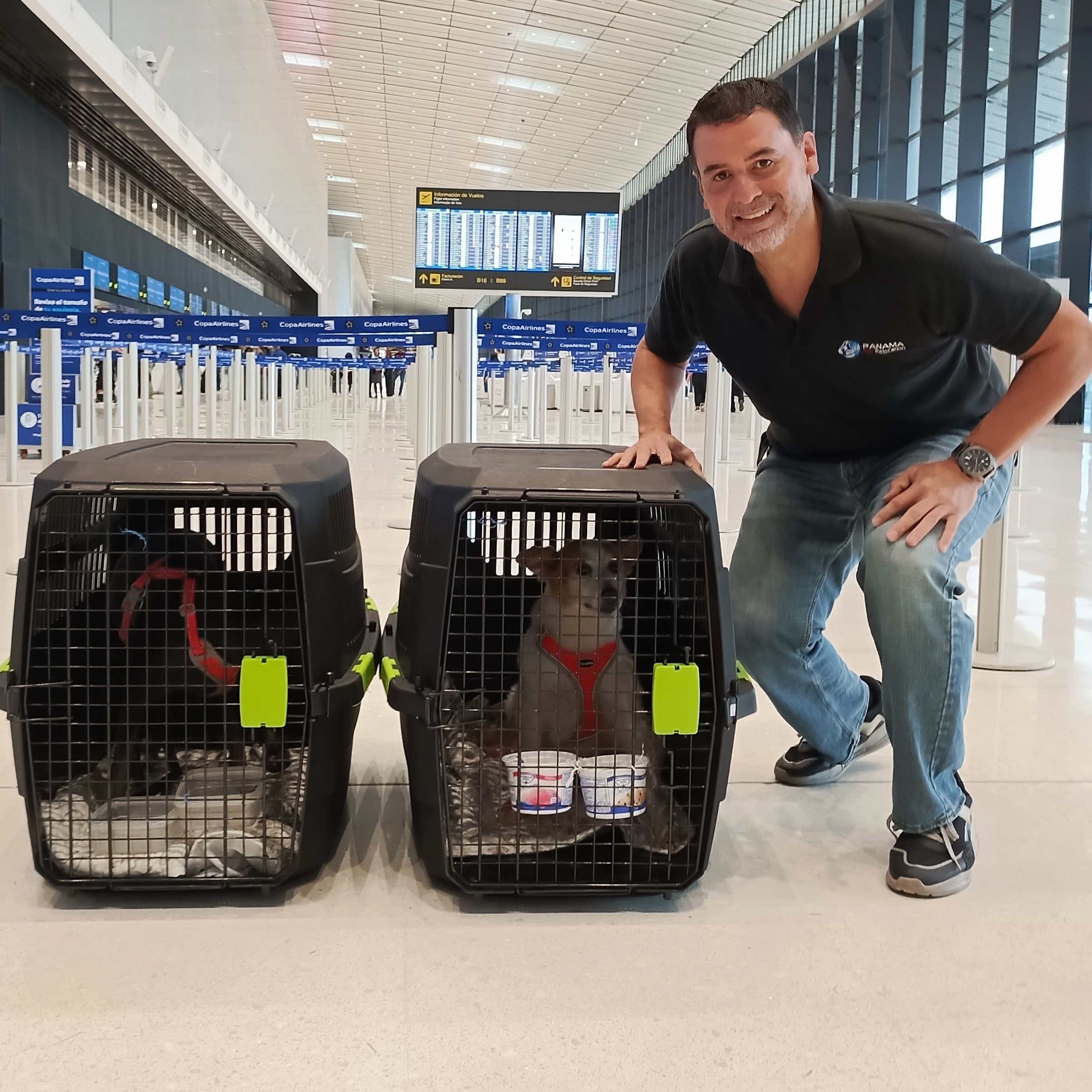 Pet shipping at PTY airport